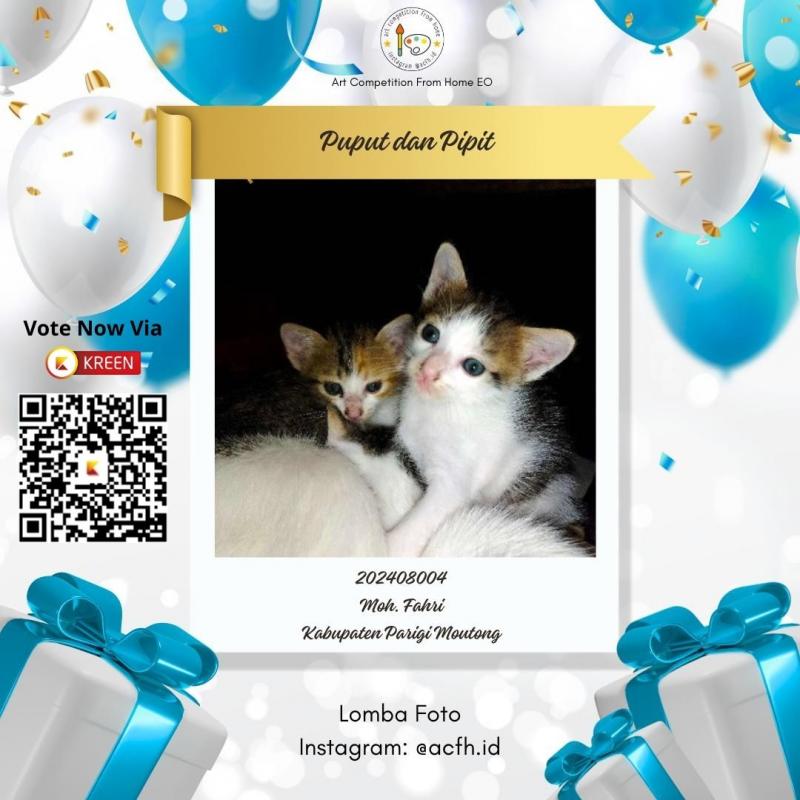 Poster Finalis